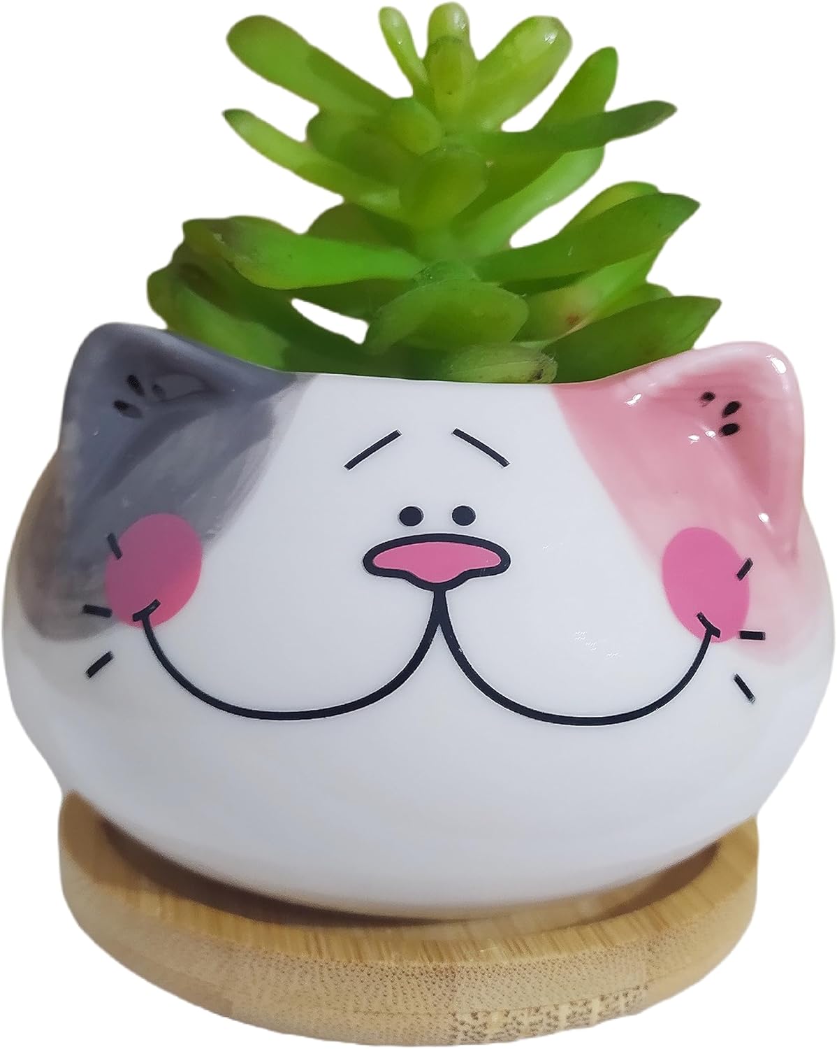 Juego de 6 macetas de cerámica para interiores de 3.5 pulgadas con forma de gato de dibujos animados con bandeja de bambú (planta no incluida)
