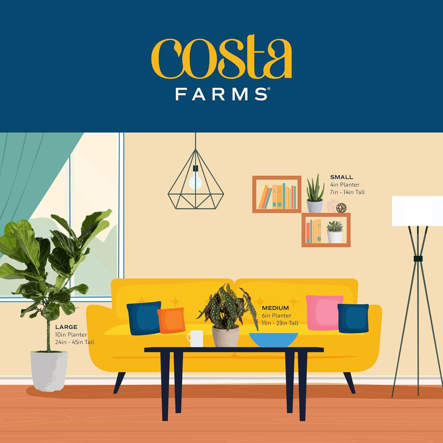 Costa Farms Planta de aloe vera, suculenta viva, planta de interior de fácil cuidado en maceta de cultivo, purificador de aire de habitación, mesa,