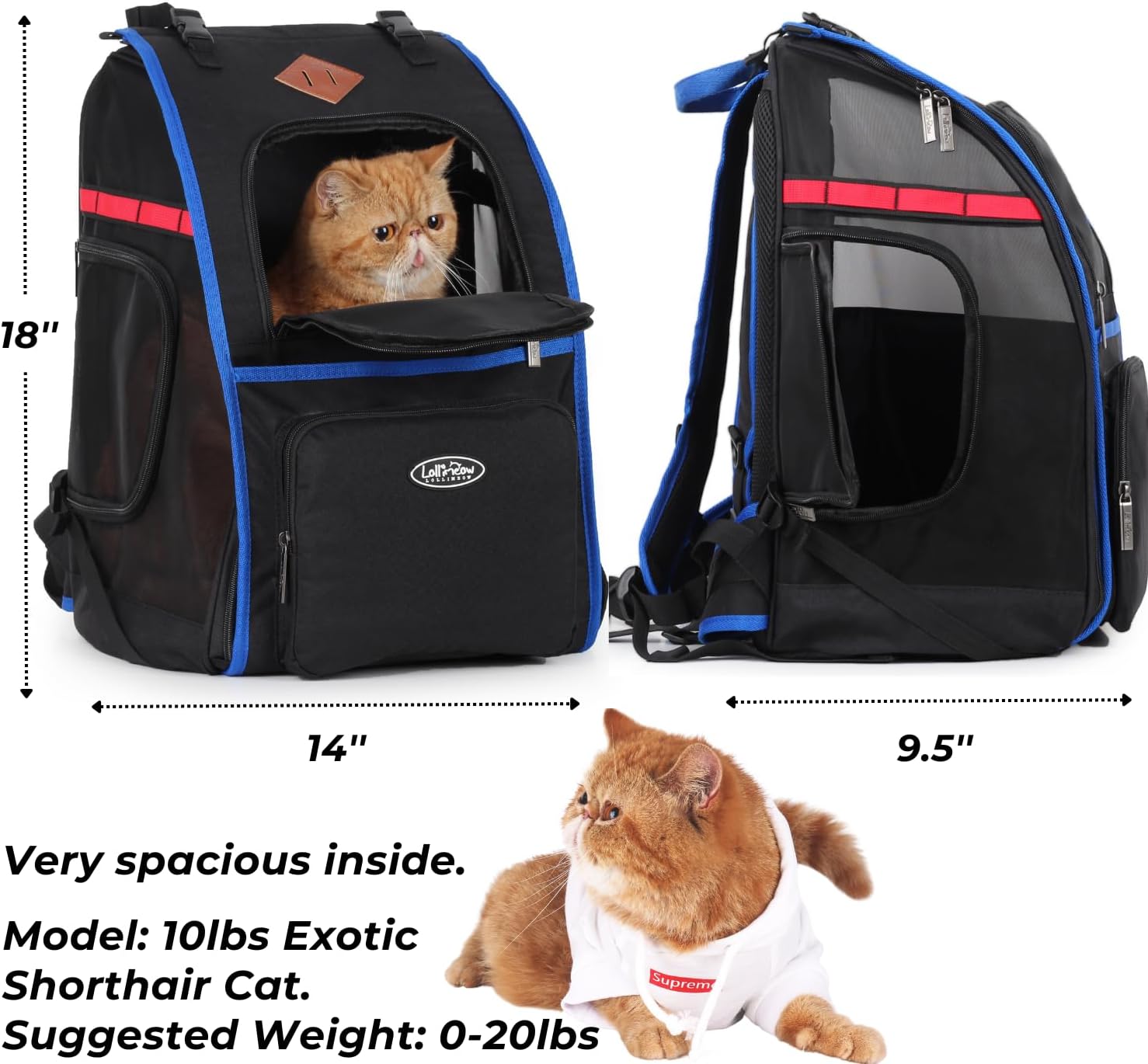 Lollimeow Mochila para gatos y cachorros, mochila de lona ventilada para exteriores con gran espacio, aprobada por aerolíneas
