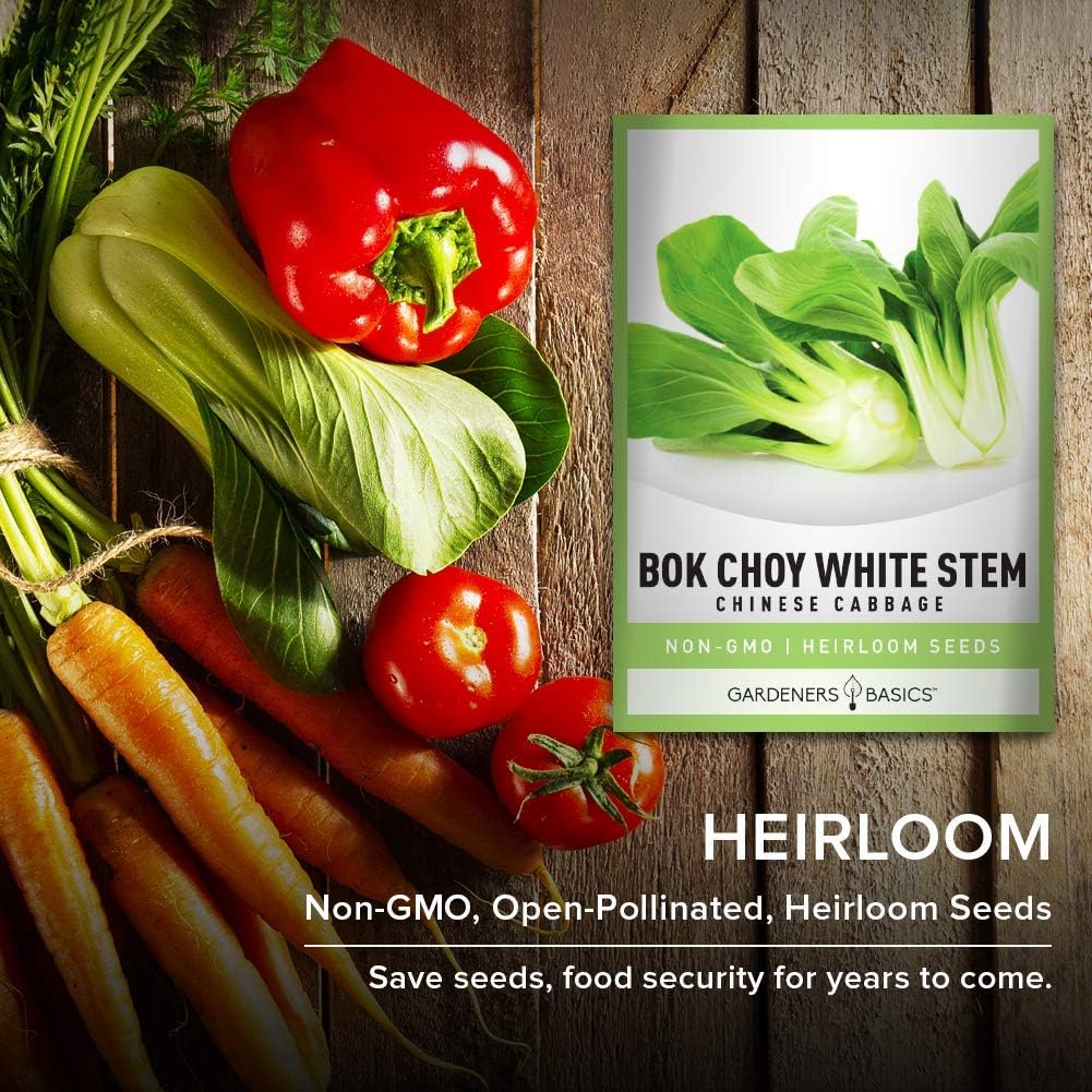 Gardeners Basics, Bok Choy – Semillas de col china para plantar, (Pak Choi) reliquia, variedad vegetal sin OMG, semillas de 0.04 onzas (0.04 oz),