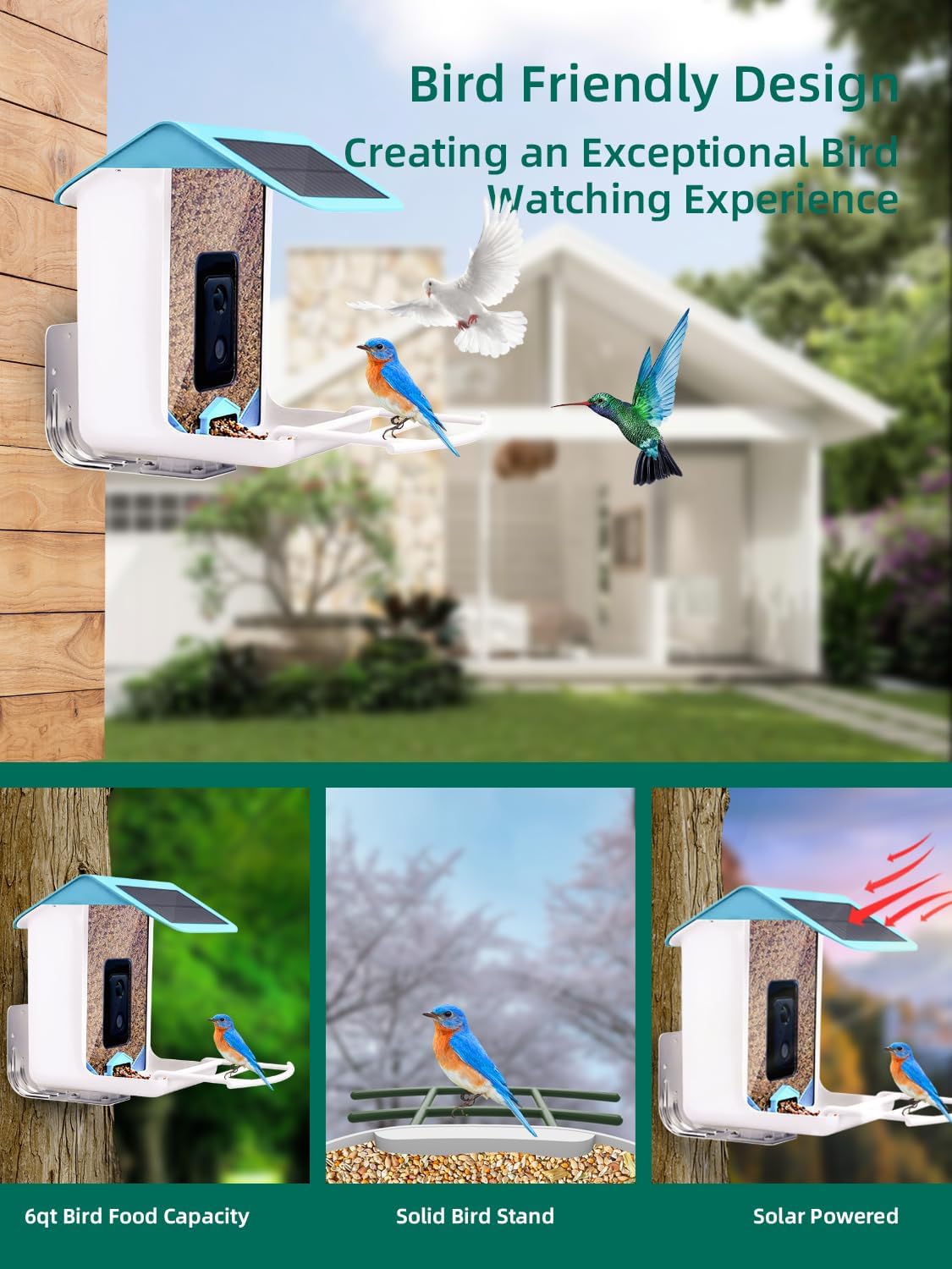 Comedero para pájaros con cámara, alimentador de video para pájaros con reconocimiento AI, notificación automática detectada de aves, conexión WiFi