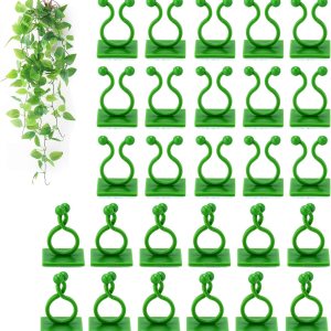 100 clips de pared para trepar plantas, fijador de plantas, enredaderas invisibles, clips de fijación autoadhesivos, tracción de enredaderas de 100 clips de pared para trepar plantas, fijador de plantas, enredaderas invisibles, clips de fijación autoadhesivos, tracción de enredaderas de