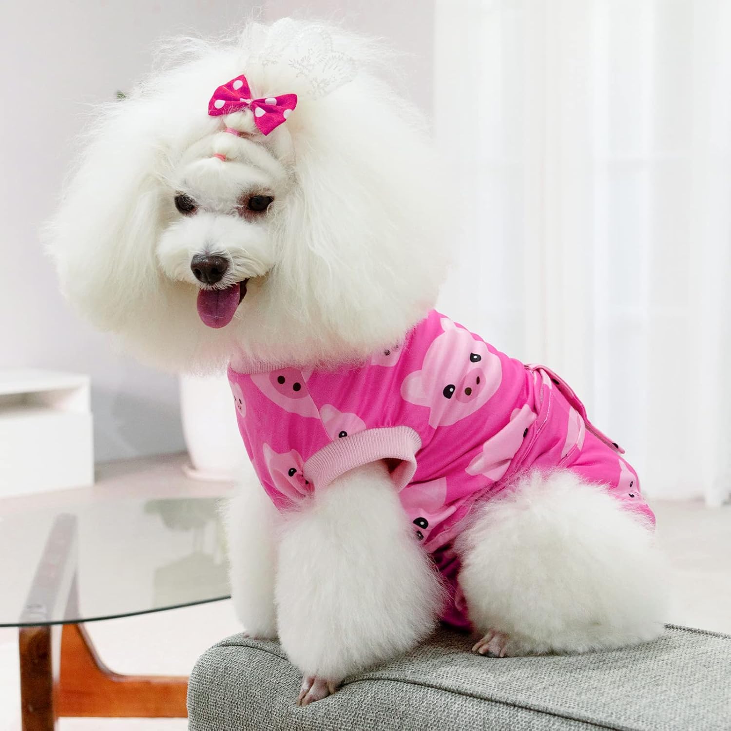 CuteBone Traje de recuperación de cirugía para perros, mono quirúrgico para gatos, trajes de cuerpo femenino, para evitar que las mascotas laman
