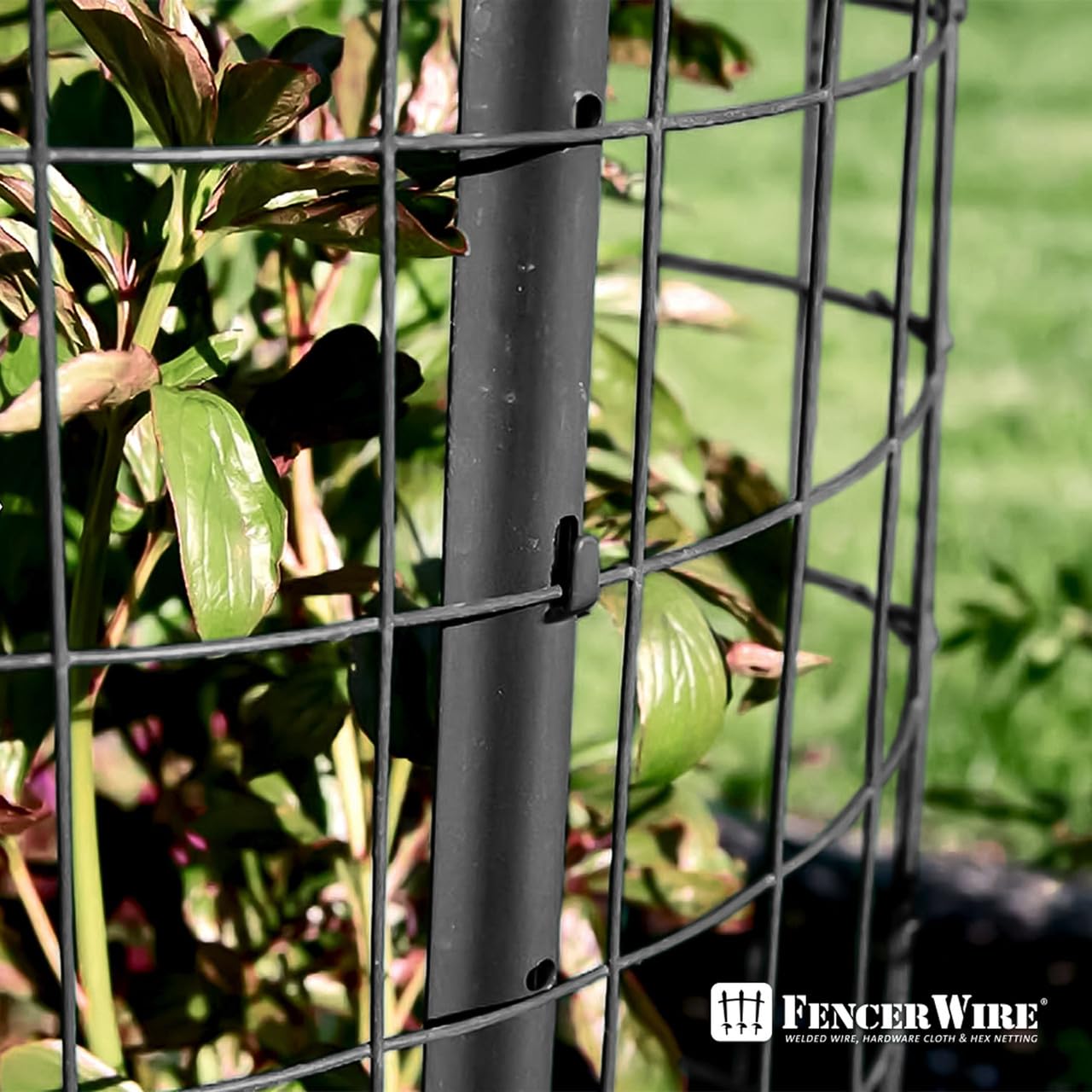 Fencer Wire Tamaño de malla de alambre soldado con autógena recubierto de vinilo verde calibre 16 pulgadas x 3 pulgadas, negro, 2×50 pies