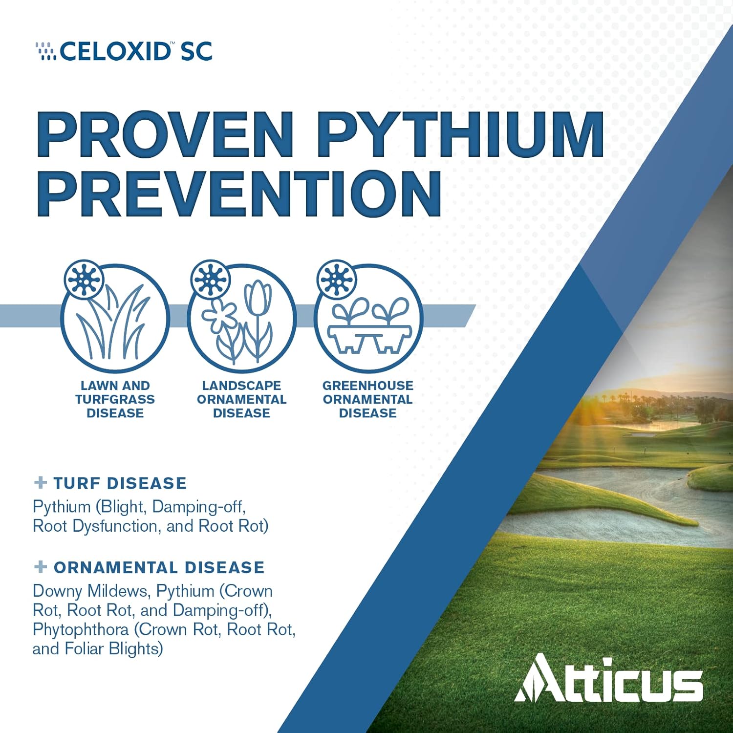 Atticus – Fungicida de ciazofamida Celoxid SC (8 onzas) (comparado con Segway SC), controla las plagas, los hongos y la pudrición de la raíz