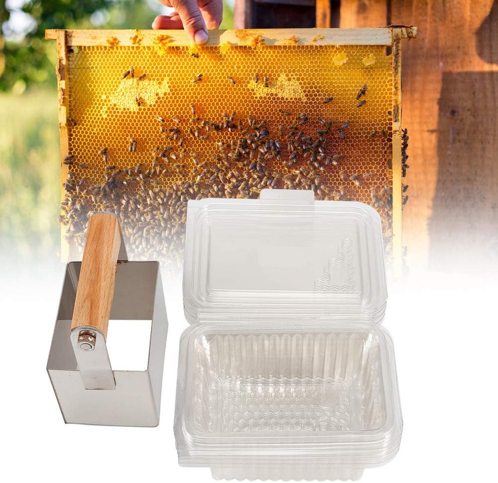 TOPINCN Peine cortador de miel, peine de acero inoxidable cortador de miel raspador con caja de plástico para corte de miel ordenadamente formado y