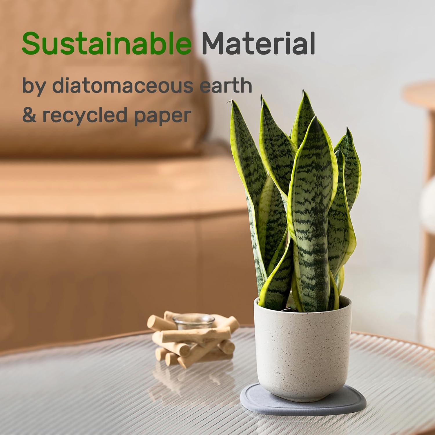 Platillo para plantas, secado instantáneo, platillos de diatomeas para interiores  Bandeja de goteo de plantas  Bandeja de recogedor de agua para
