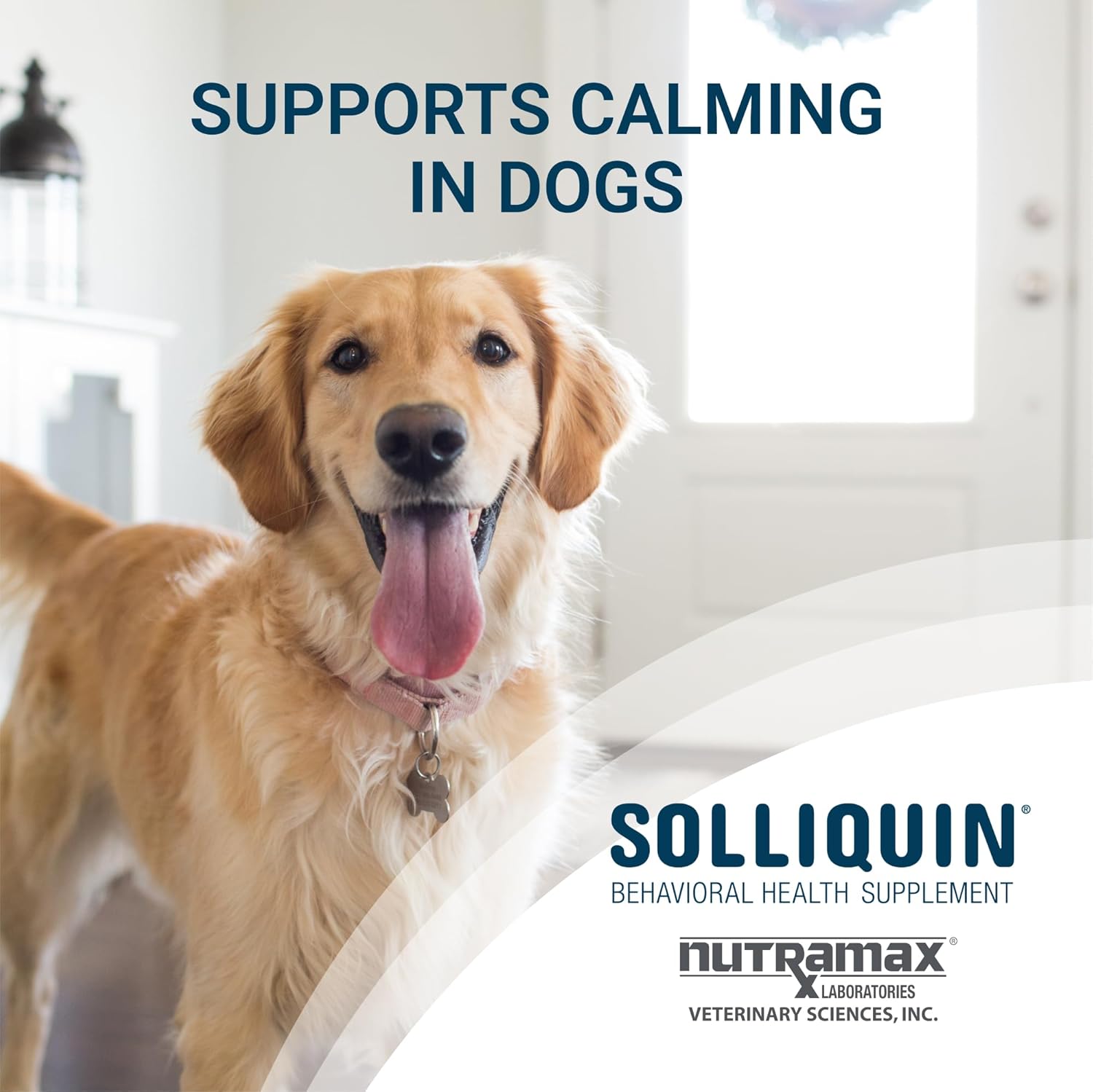 Nutramax Solliquin – Suplemento calmante para la salud conductual para perros grandes, con L-teanina, magnoliafelodendro y concentrado de proteína