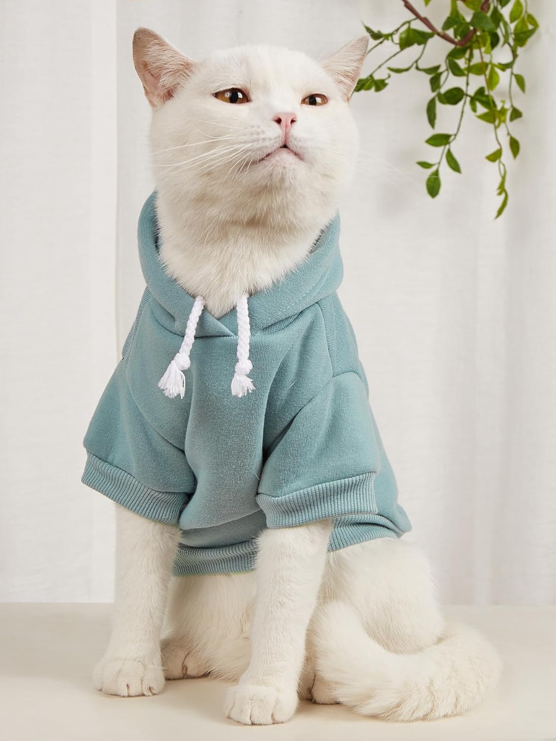 QWINEE Sudadera básica con capucha para perro, chaqueta cálida para perro, ropa para gato, camisa para perro, ropa para cachorros, gatitos pequeños