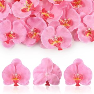 HOKPA 20 pétalos de orquídea, cabezas de flores de orquídea artificiales, cabezas de mariposa de seda sintética Phalaenopsis para bricolaje, HOKPA 20 pétalos de orquídea, cabezas de flores de orquídea artificiales, cabezas de mariposa de seda sintética Phalaenopsis para bricolaje,