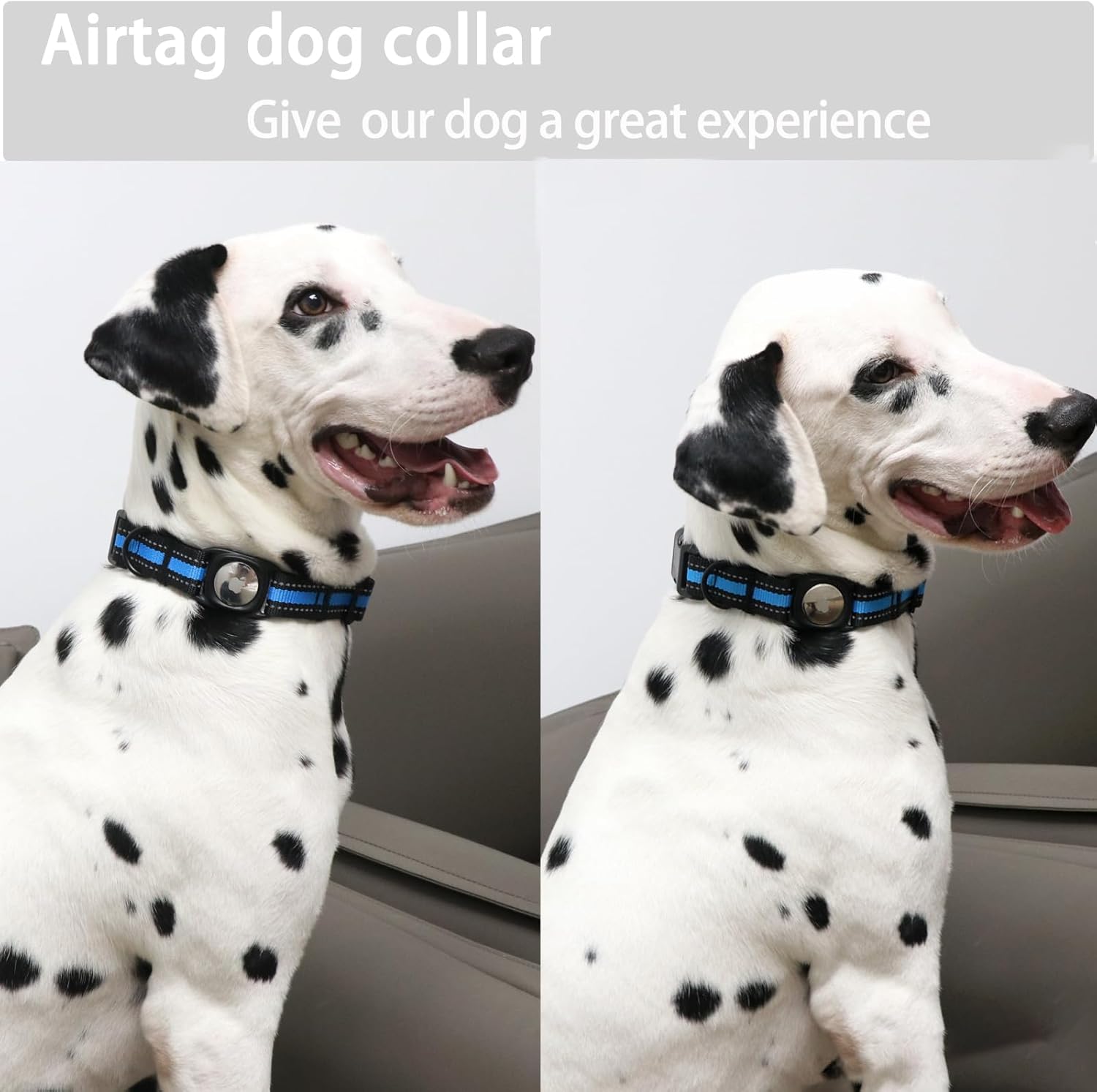 ARING PET Collar para perro Airtag, collar reflectante azul elegante, collar de perro de nailon ajustable ligero con soporte para Airtag