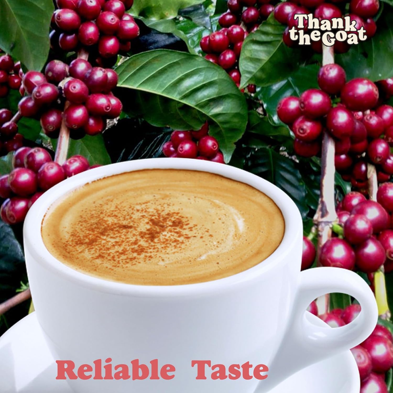 Thank the Goat Cápsulas de café gourmet, recién tostado, tostado oscuro, compatible con cafeteras Keurig 2.0 K-Cup, de Karnataka, India, 24 unidades