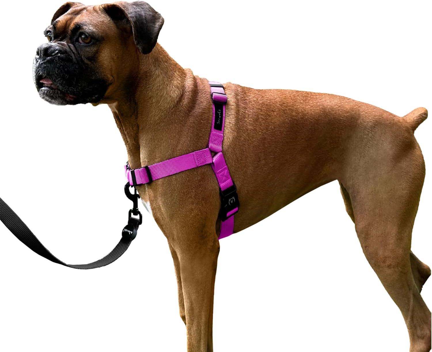 ShawnCo Dream Walk – Arnés sin tirones para perro, ajustable, cómodo, fácil de usar, para ayudar a dejar de tirar, para perros pequeños, medianos y