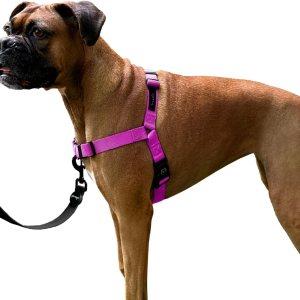 ShawnCo Dream Walk – Arnés sin tirones para perro, ajustable, cómodo, fácil de usar, para ayudar a dejar de tirar, para perros pequeños, medianos y ShawnCo Dream Walk – Arnés sin tirones para perro, ajustable, cómodo, fácil de usar, para ayudar a dejar de tirar, para perros pequeños, medianos y