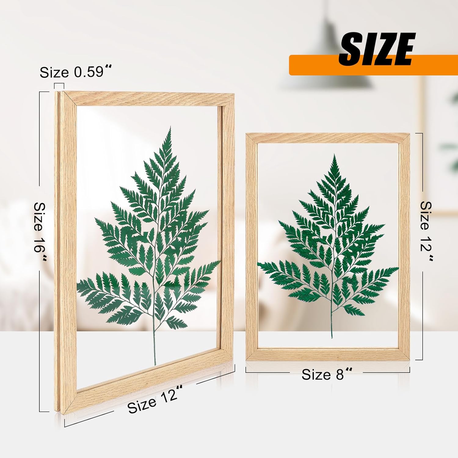 IVN Arte de pared enmarcado marco flotante de plexiglás de madera maciza colgante de 8 x 12 pulgadas con caja de regalo para flores secas prensadas,