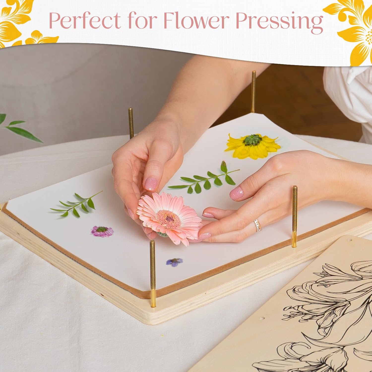 Papel secante XL para prensa de flores, extra grande, 14.7 x 11.2 pulgadas, papel de herbario altamente absorbente y reutilizable, paquete de 15
