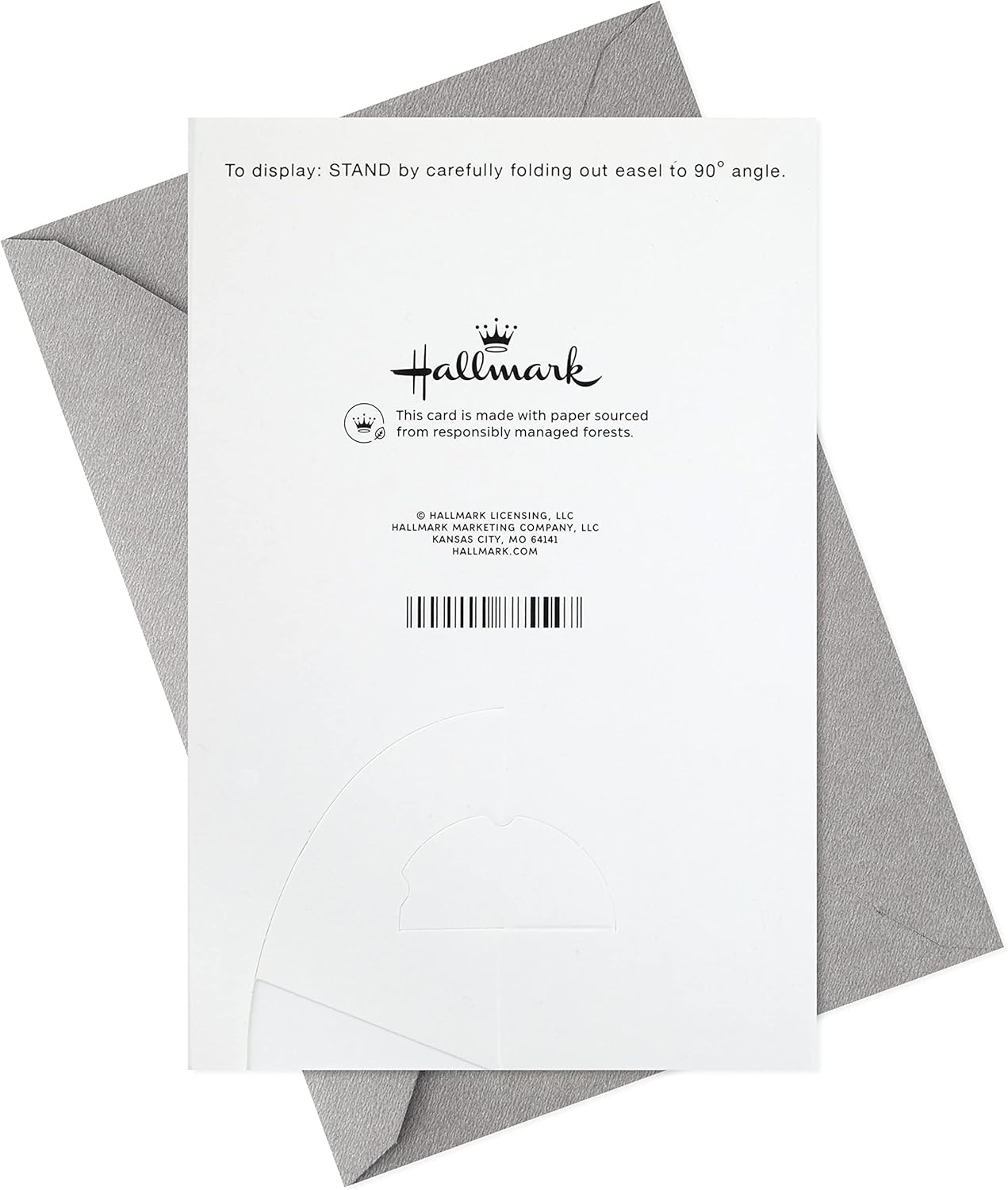 Hallmark Tarjeta de cumpleaños para hijo (decoración colgante o exhibible, montañas modernas)