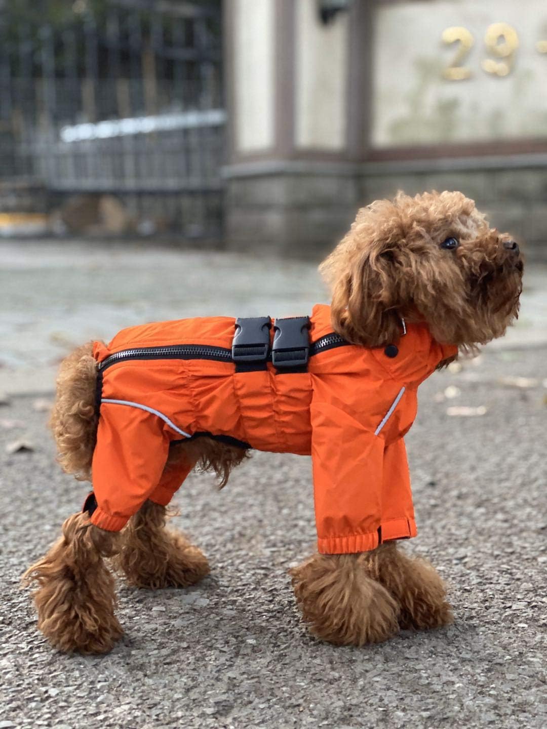 Lovelonglong – Chaqueta impermeable para perros, ligera, impermeable, reflectante, resistente al viento, a prueba de nieve, para perros pequeños,
