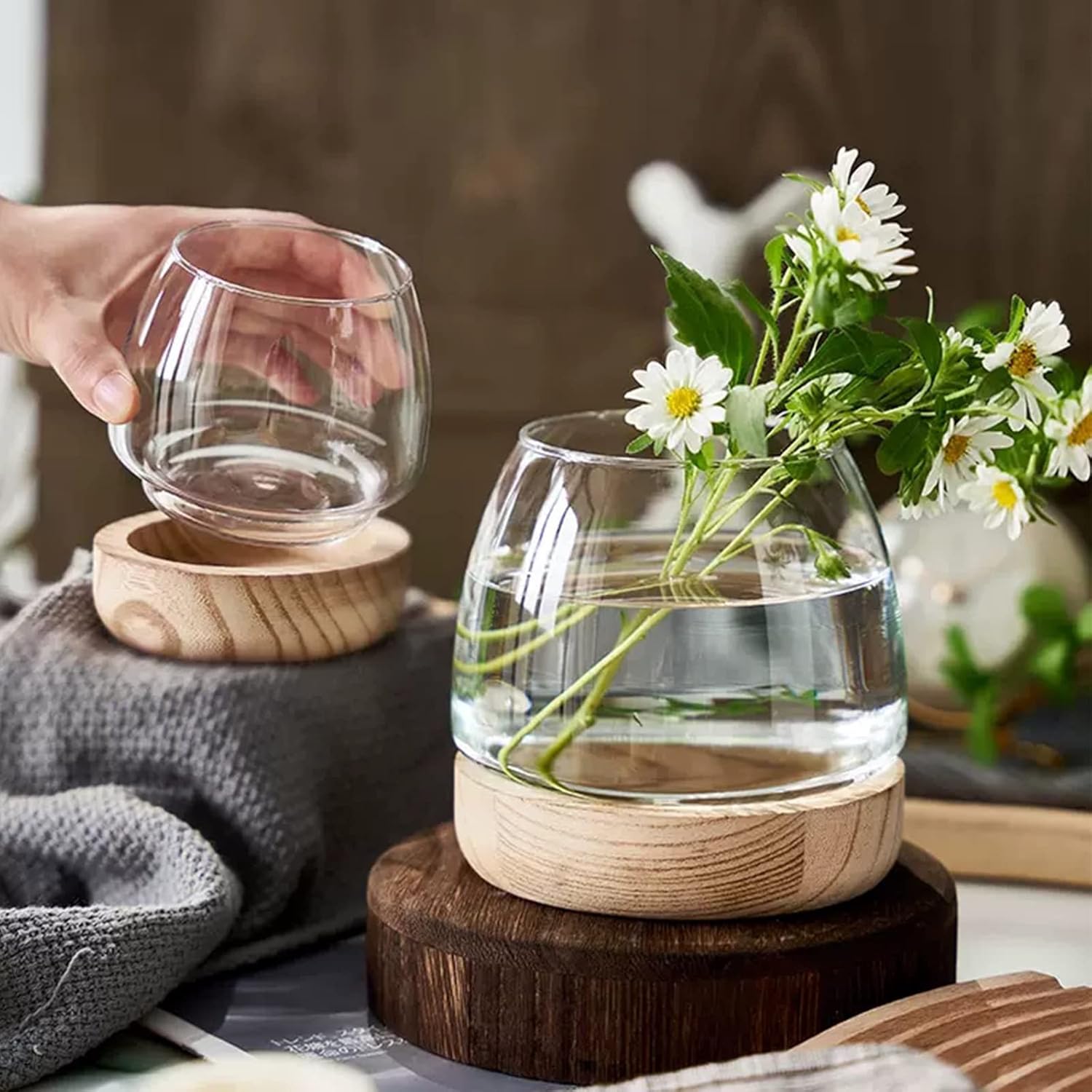 Jarrón de vidrio con base de madera desmontable, pequeño jarrón de vidrio de escritorio para plantas hidropónicas, terrario ecológico, acuario,