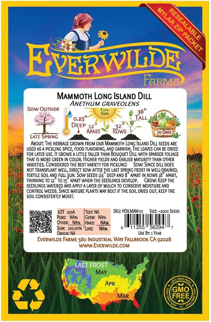 Everwilde Farms – 2000 Semillas de hierbas de eneldo Mammoth Long Island – Paquete de semillas jumbo Gold Vault