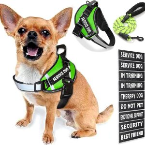 Chaleco de servicio para perro, 9 parches para perros, arnés y correa para perro con asa, arnés de chaleco para mascotas fácil de poner y quitar con Chaleco de servicio para perro, 9 parches para perros, arnés y correa para perro con asa, arnés de chaleco para mascotas fácil de poner y quitar con