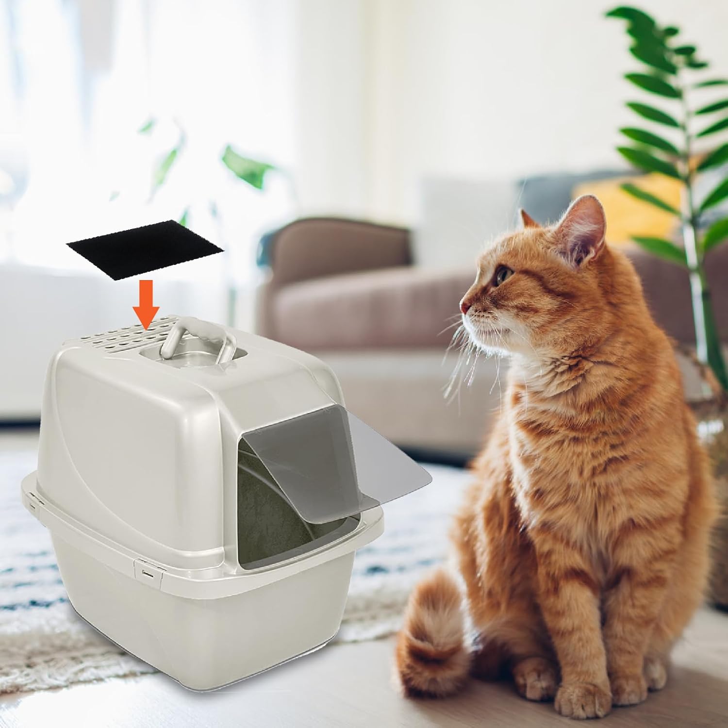 Paquete de 10 filtros de carbón para caja de arena para gatos Van Ness, filtros de olor de carbono para Pureness F6, filtro de aire de zeloita de