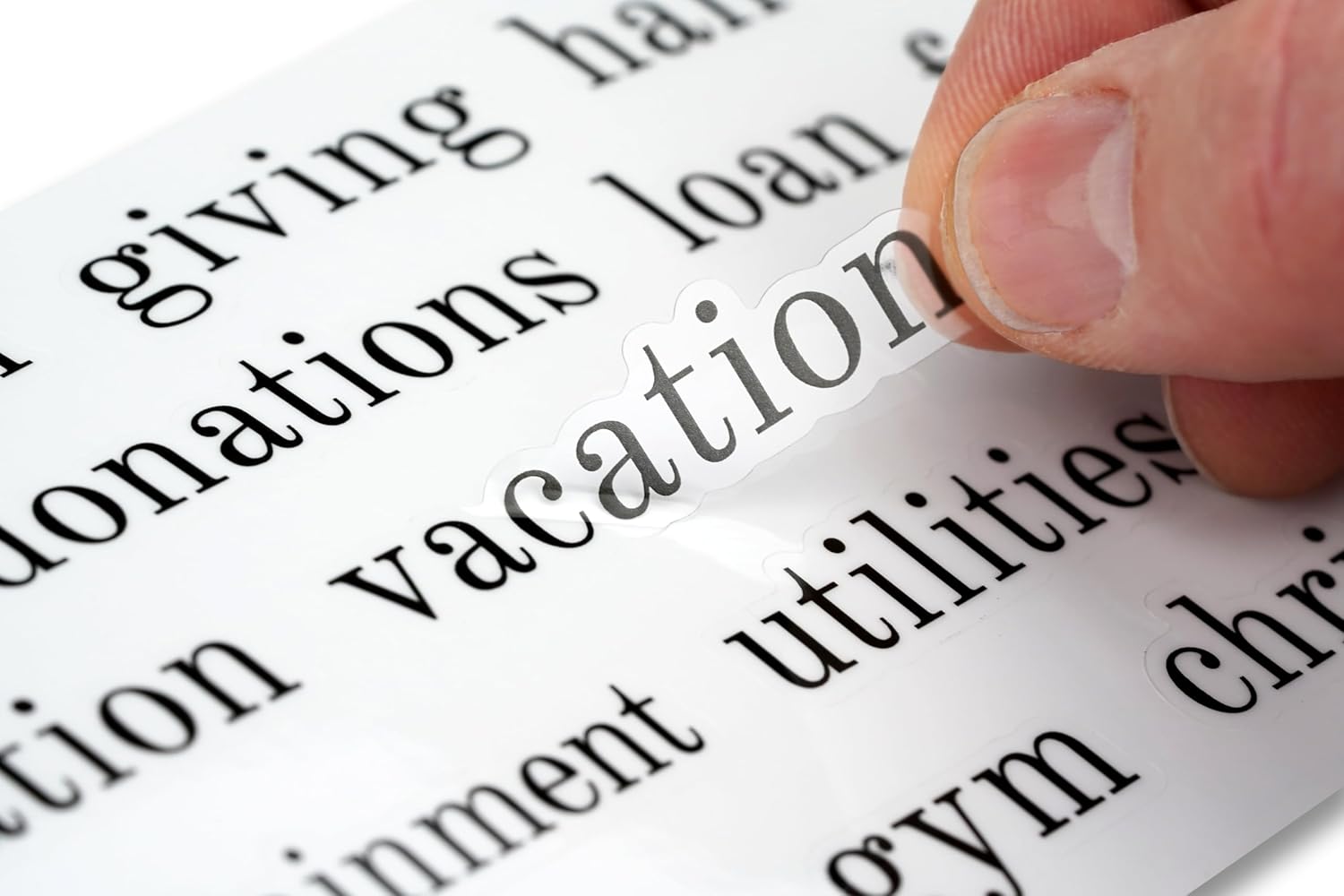 ZipGifts Kit de carpeta presupuestaria 8 sobres de cartulina premium con ventana transparente y sello de velcro, libro mayor trasero, 51