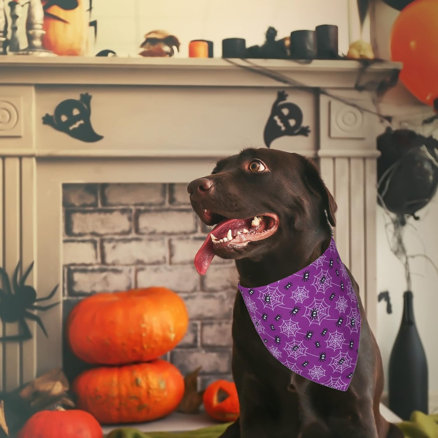 ADOGGYGO Paquete de 2 bandanas de Halloween para perro, bufanda triangular reversible para perro, accesorios de Halloween para perros grandes y