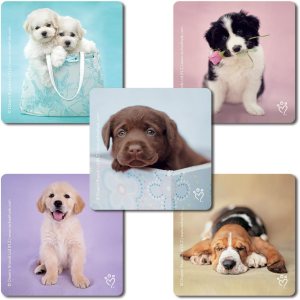 SmileMakers Rachael Hale – Calcomanías hipoalergénicas para perros, sin látex SmileMakers Rachael Hale – Calcomanías hipoalergénicas para perros, sin látex