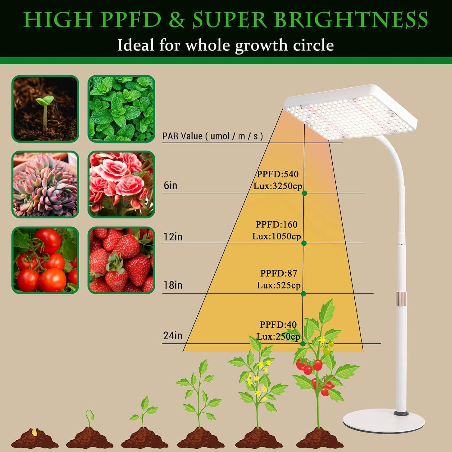 GroCruiser Luces de cultivo de escritorio para plantas de interior, luz de cultivo de mesa de 200 W, lámpara de cultivo de plantas de espectro