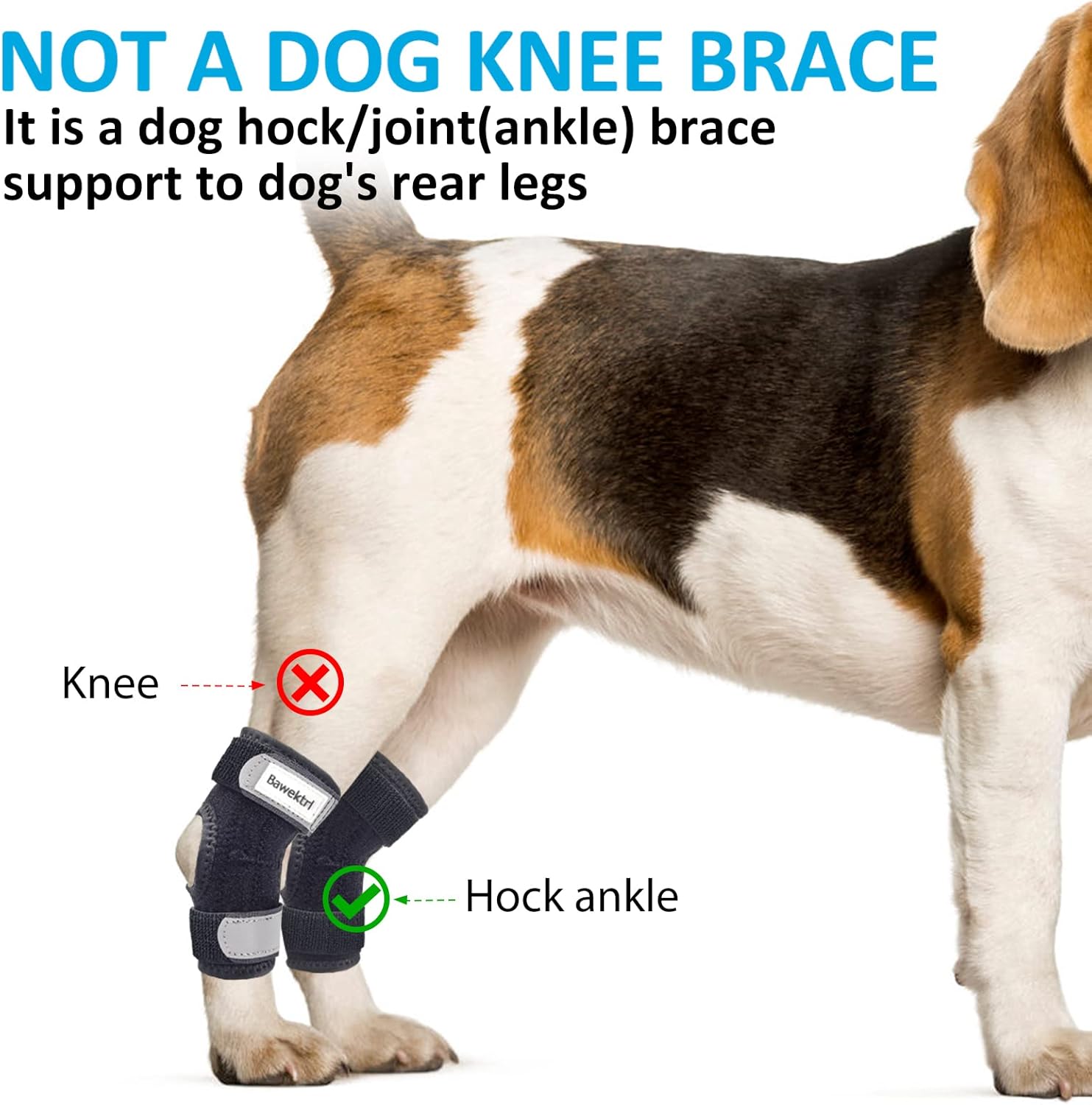Soportes para patas de perro para patas traseras, soporte para patas traseras con tiras de metal, correas reflectantes de seguridad para piernas