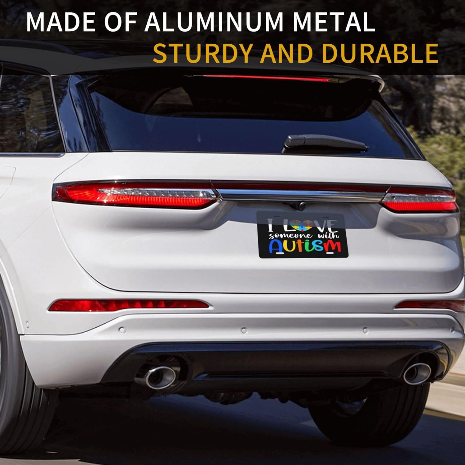 Placa de matrícula retro con texto en inglés “I Love Someone with Autismo”, placa de metal para automóvil, decoración del hogar para mujeres y