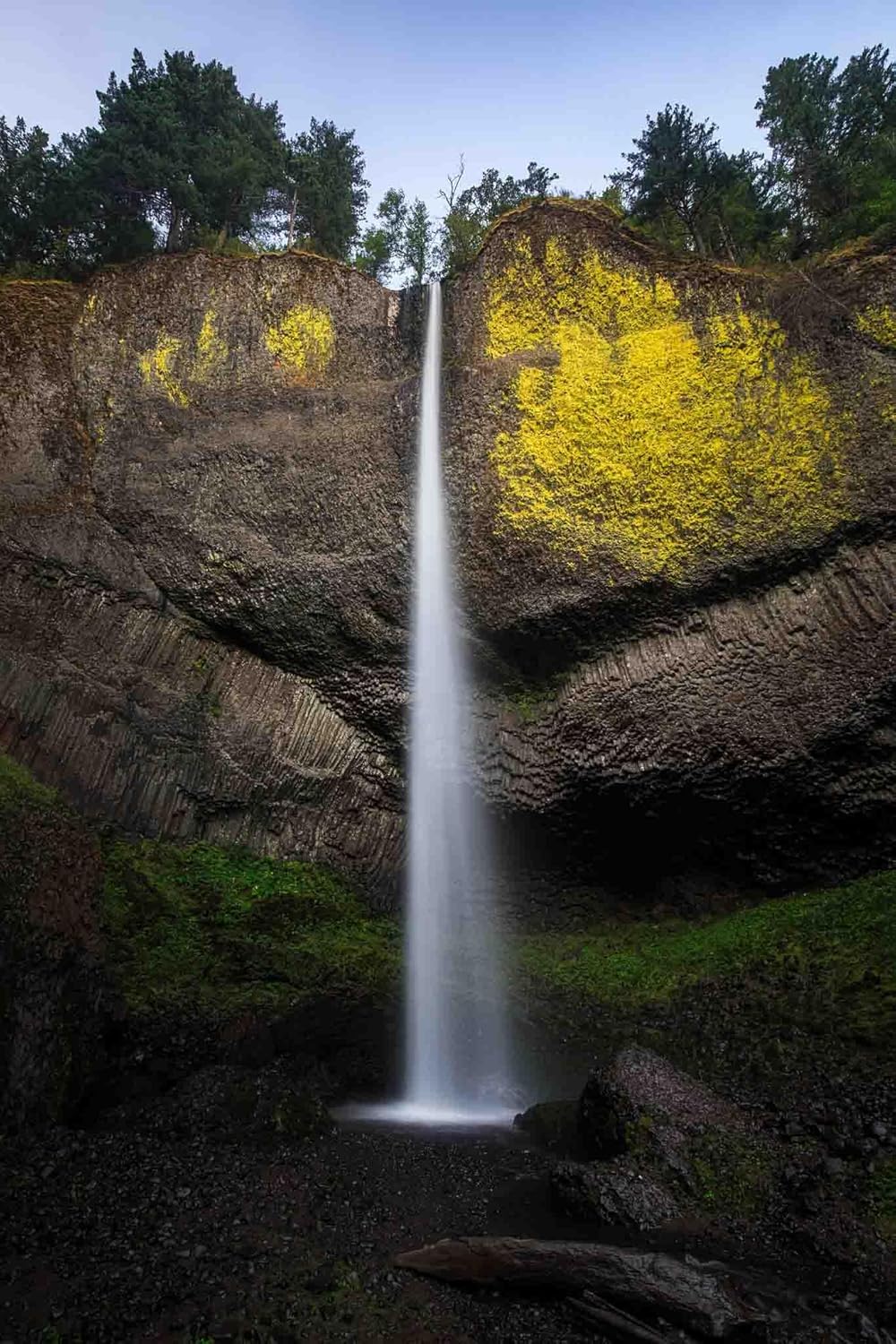 Waterfall Photography Print (Not Framed) Vertical Picture of Latourell Falls on Summer Day in Columbia River Gorge Oregon Pacific Northwest Wall Art