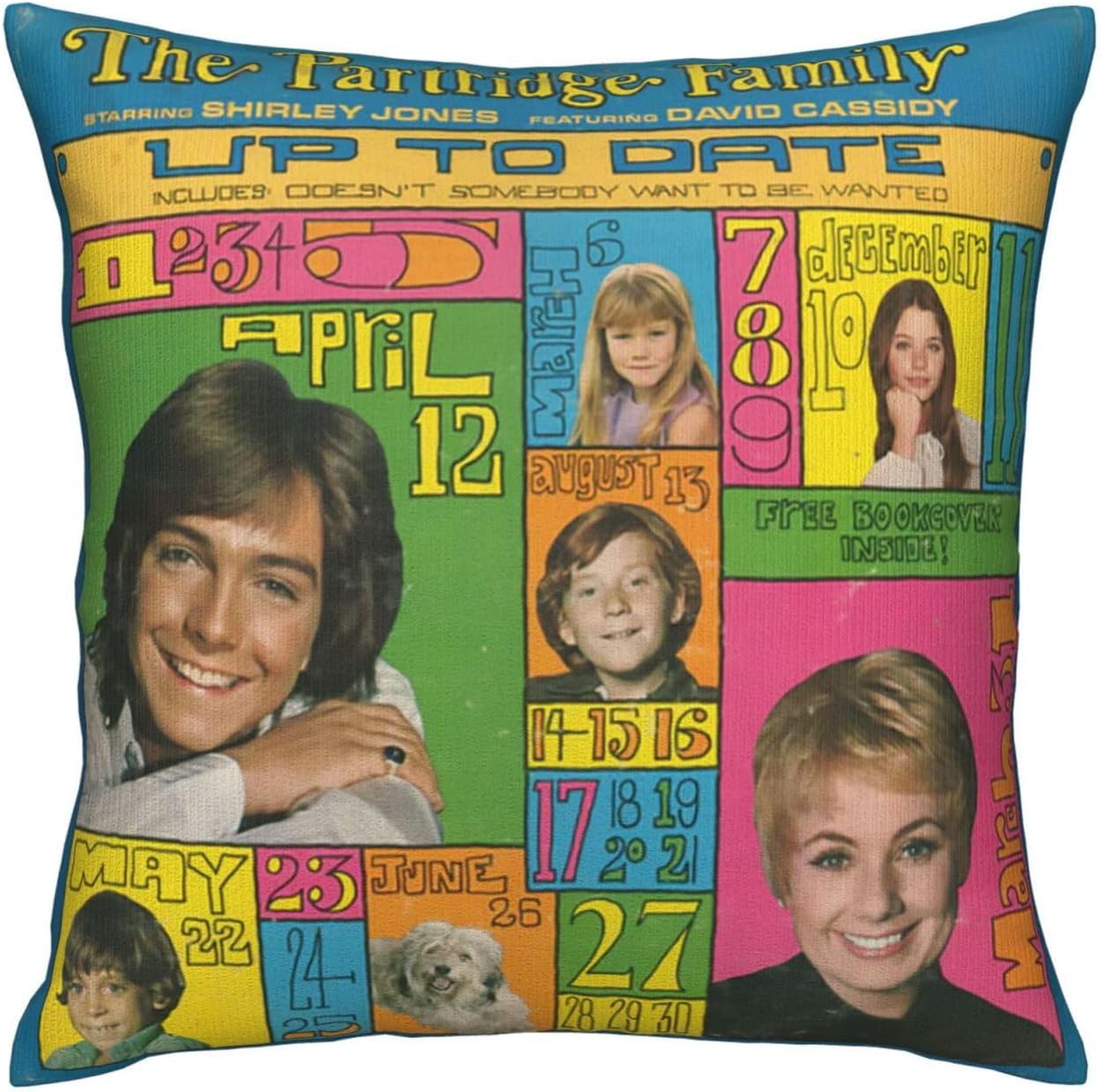 David Actor Cassidy – Fundas de almohada de 18 x 18 pulgadas, funda de almohada para exteriores para decoración de sofá
