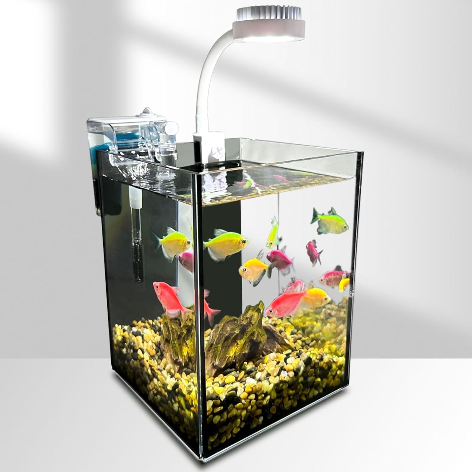 Kit de iniciación para pecera, tanque de vidrio para acuario de 1.2 galones, LWH  6.3 x 6.3 x 8.6 pulgadas, filtro Slient de 60 GPH y lámpara LED de