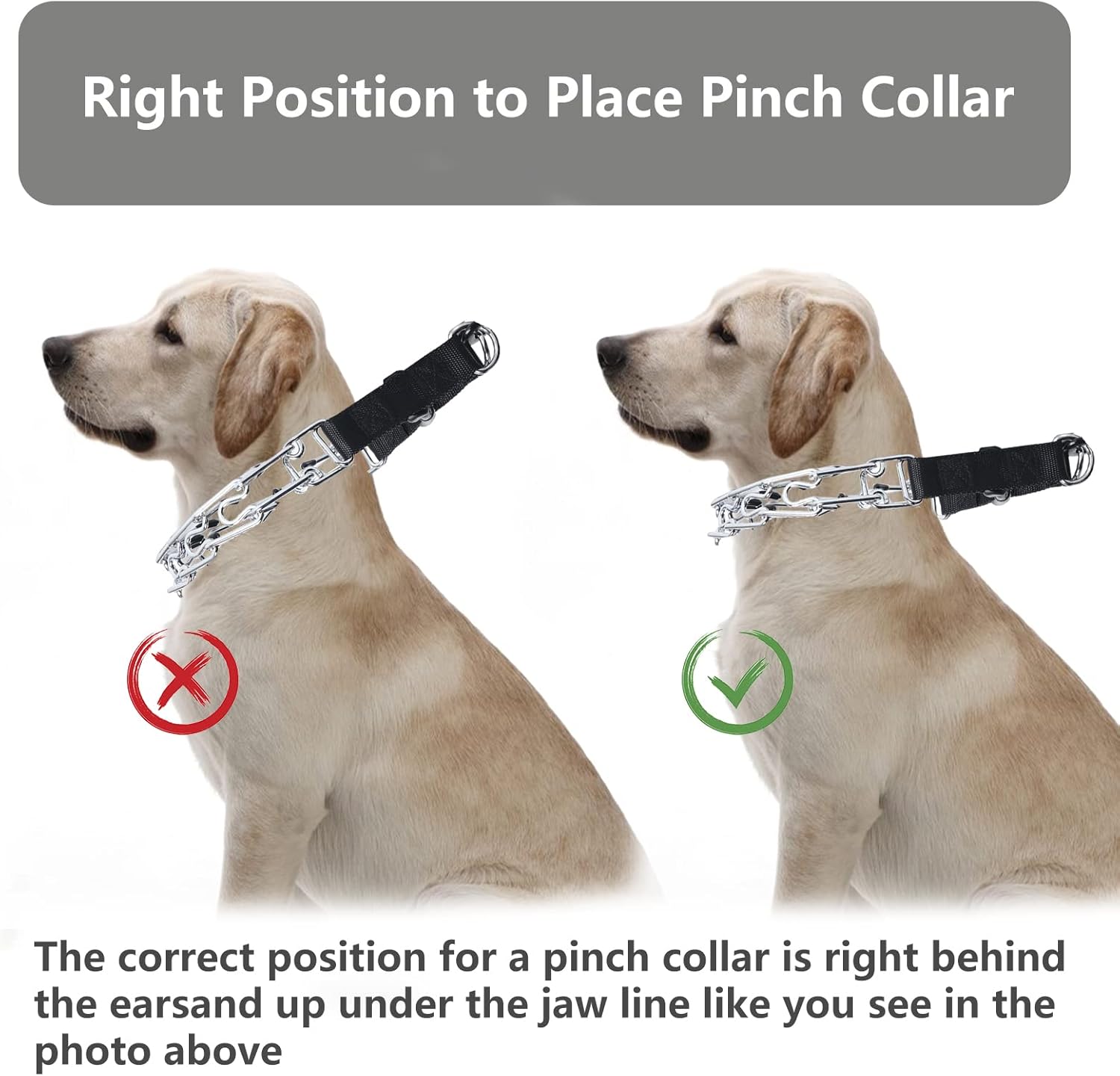 Collar de punta para perros, entrenamiento de caminar con hebilla de liberación rápida, collar ajustable con tapas de goma, no tirones, M (cuello 15