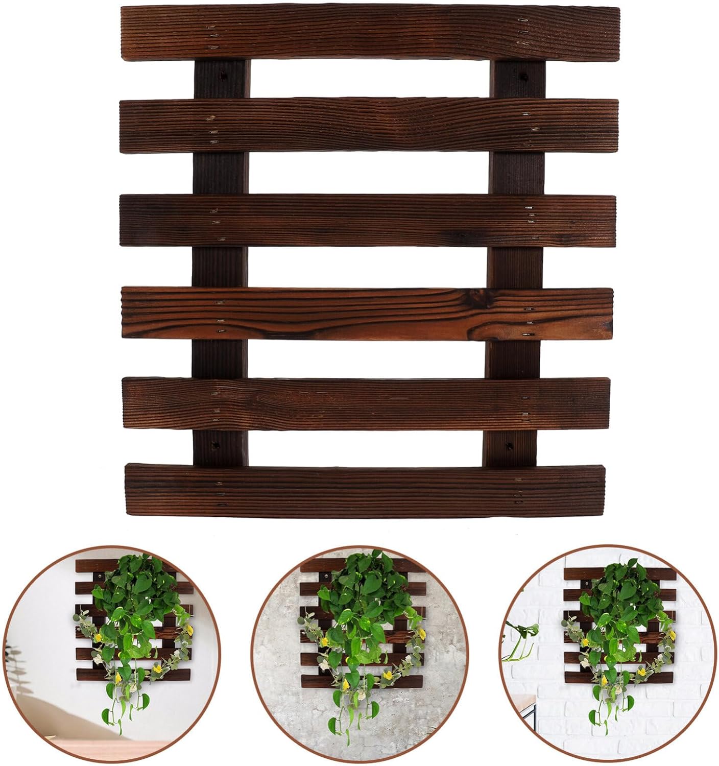 BESTOYARD 1 juego de escalera de pared, estante de pared, maceta de orquídeas, plantas de interior, macetas de interior, decoración de plantas de