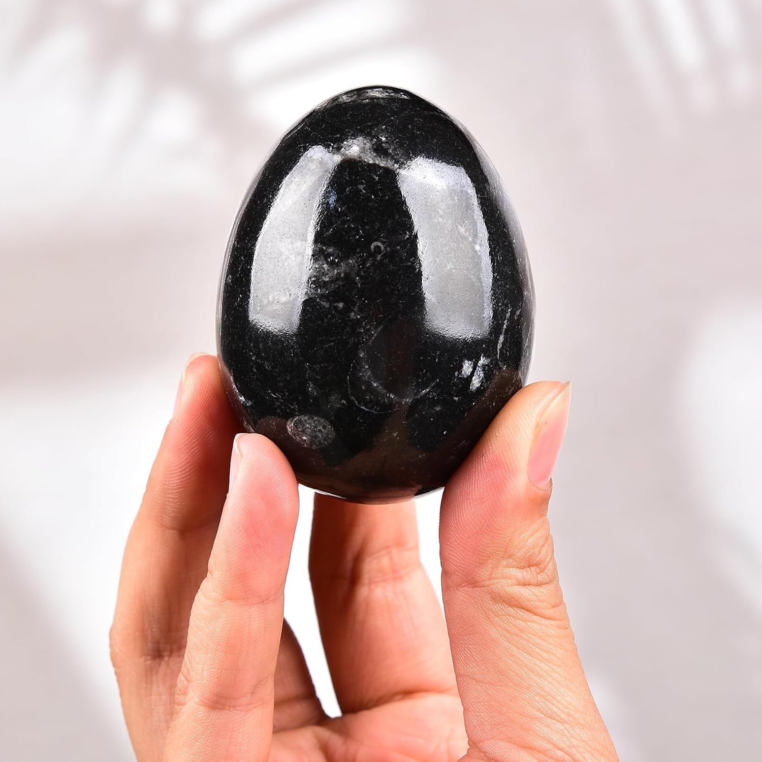 AMOYSTONE Orthoceras Huevo negro con base de piedra natural para curar reiki decoración del hogar, tamaño mediano, altura individual 2.5-3 pulgadas