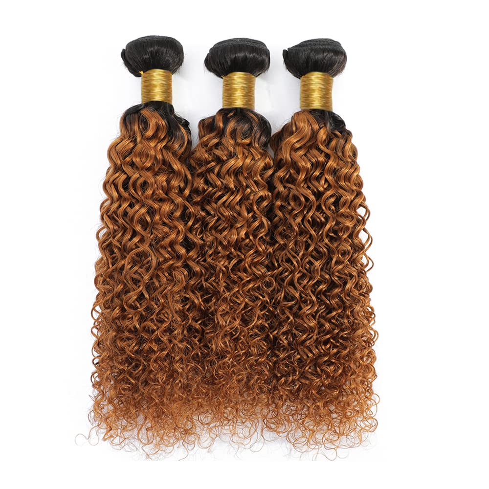1B30 – Manojos de cabello humano rizado ombré, color marrón degradado, paquetes de cabello virgen 100% sin procesar, paquetes de cabello Remy