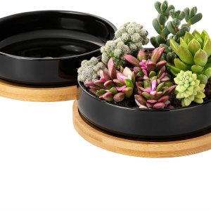 Paquete de 2 macetas de 6 pulgadas, maceta de cerámica negra para suculentas con bandeja de bambú y orificio de drenaje para plantas de interior Paquete de 2 macetas de 6 pulgadas, maceta de cerámica negra para suculentas con bandeja de bambú y orificio de drenaje para plantas de interior
