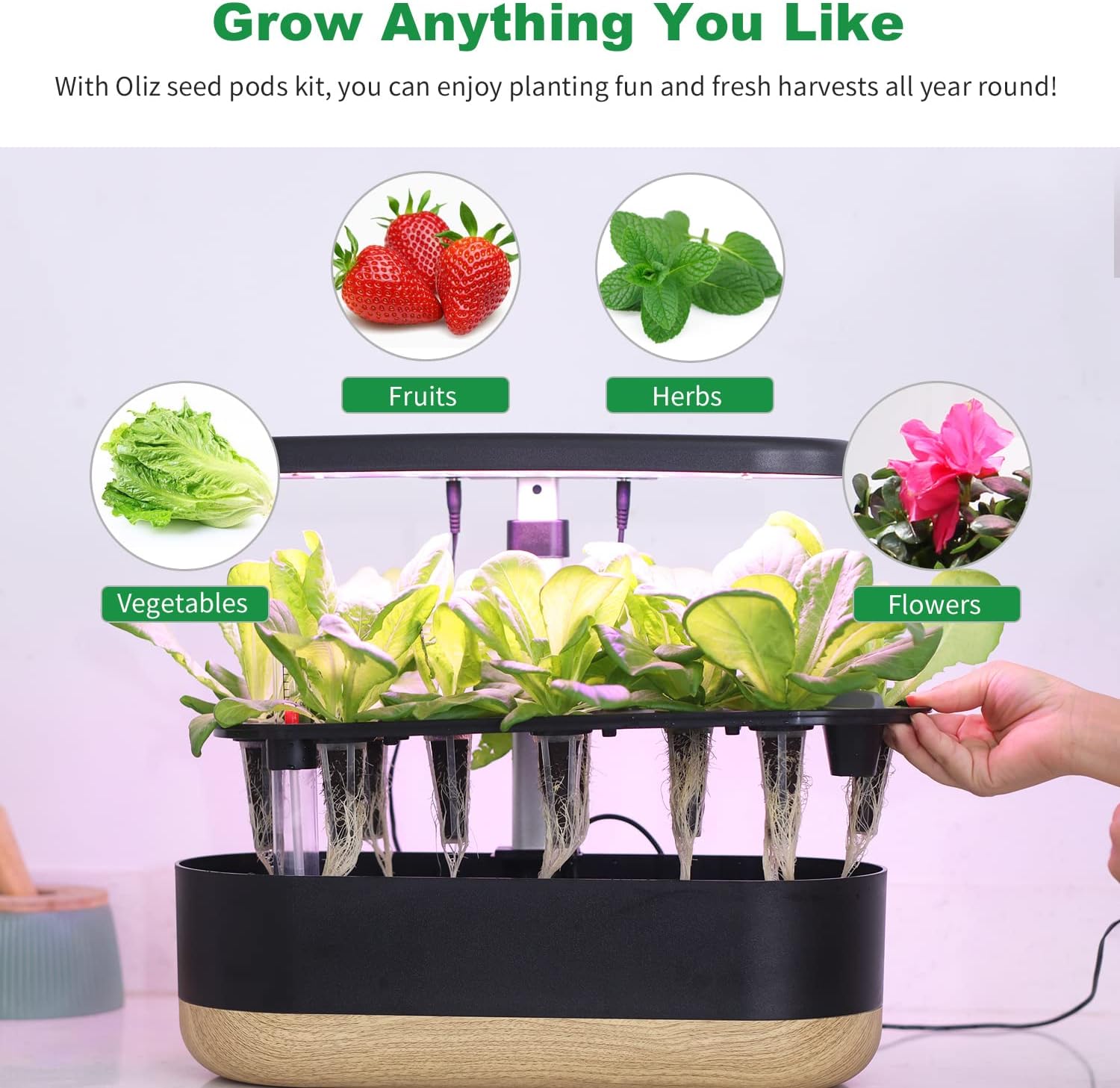 Kit de 77 cápsulas de semillas para Aero Garden y todo el sistema hidropónico, kit Oliz Grow Anything con 12 esponjas de cultivo, 12 cestas de