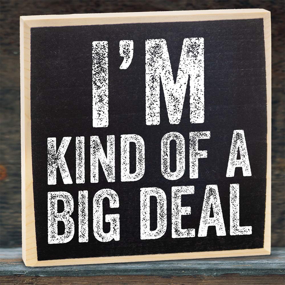 Letrero de madera con texto en inglés “I’m Kind Of A Big Deal”, decoración divertida para el hogar, oficina, divertidos letreros de oficina, gran