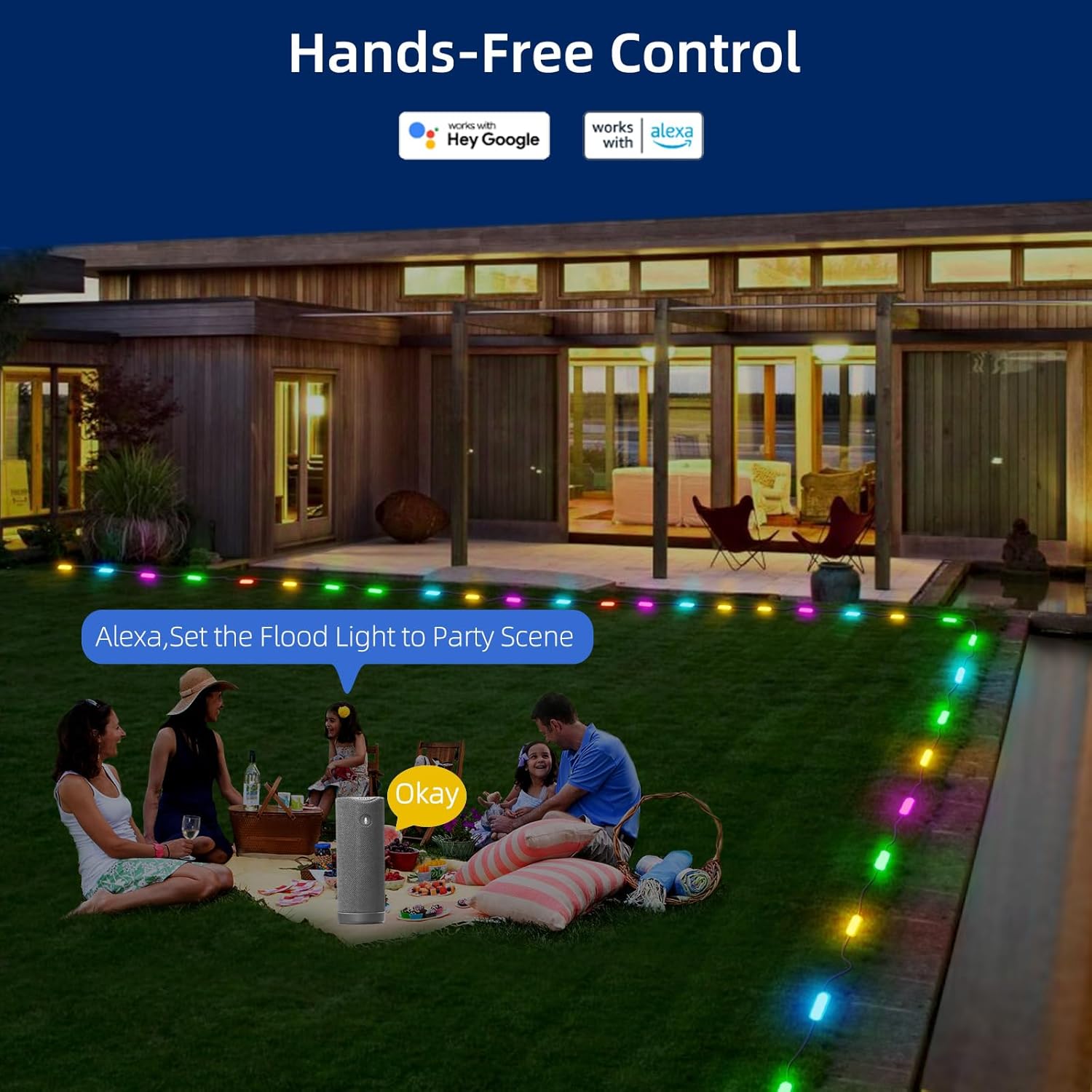 BASON LIGHTING Luces de suelo para exteriores, luces de camino de voltaje IP65 de 24 V, paquete de 20, luces de pasarela de control de aplicación