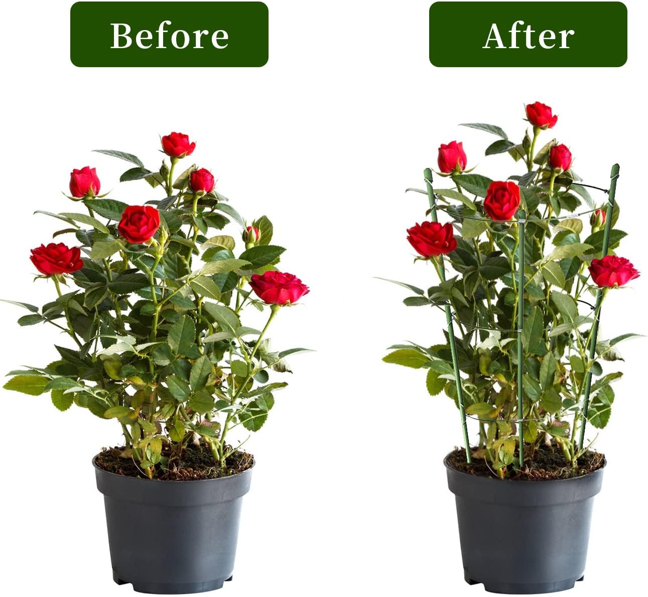 Paquete de 8 jaulas de tomate para soporte de plantas de jardín, jaulas pequeñas de tomate de 18 pulgadas con anillos ajustables, estacas para