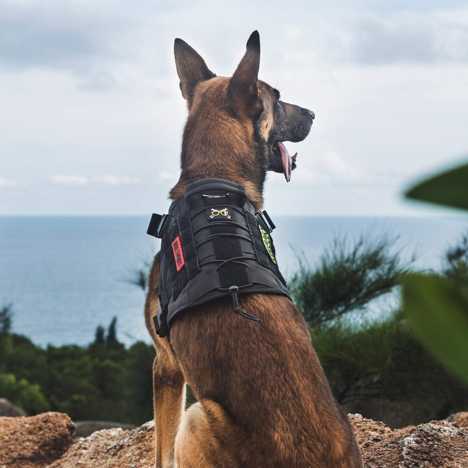 Chaleco táctico para perro, con asa, arnés militar para perros grandes y medianos, chaleco de perro sin tirar con paneles de gancho y bucle, arnés