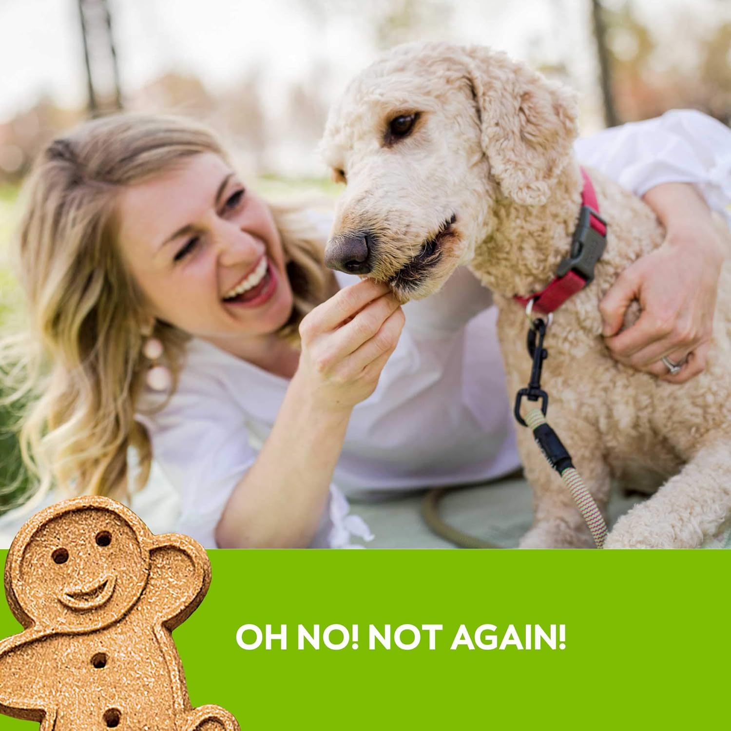 Buddy Biscuits – Golosinas crujientes para perros, pollo asado, caja de 8 onzas
