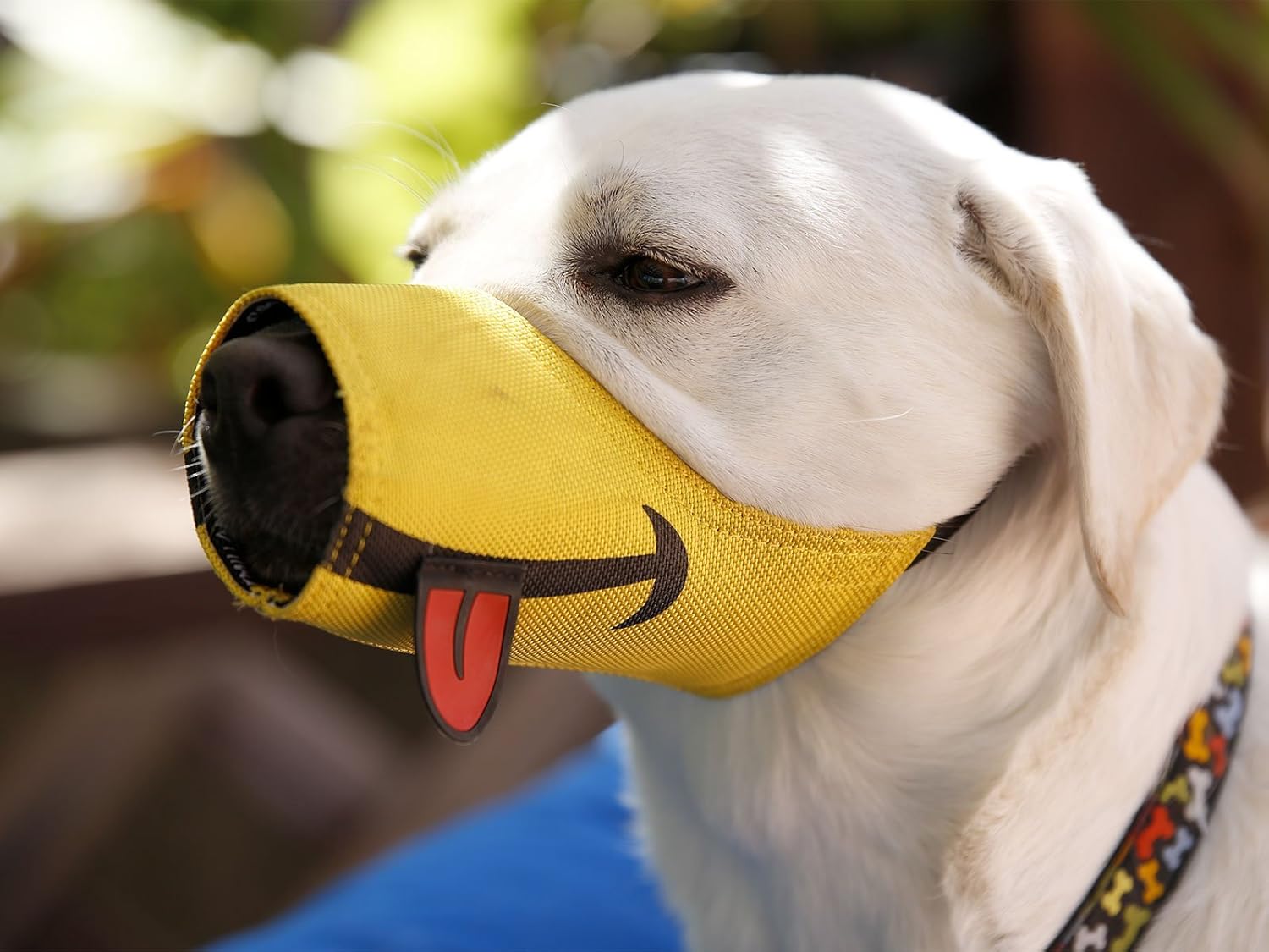 Cesar Millan Bozal divertido, Smiley (talla 1, amarillo)
