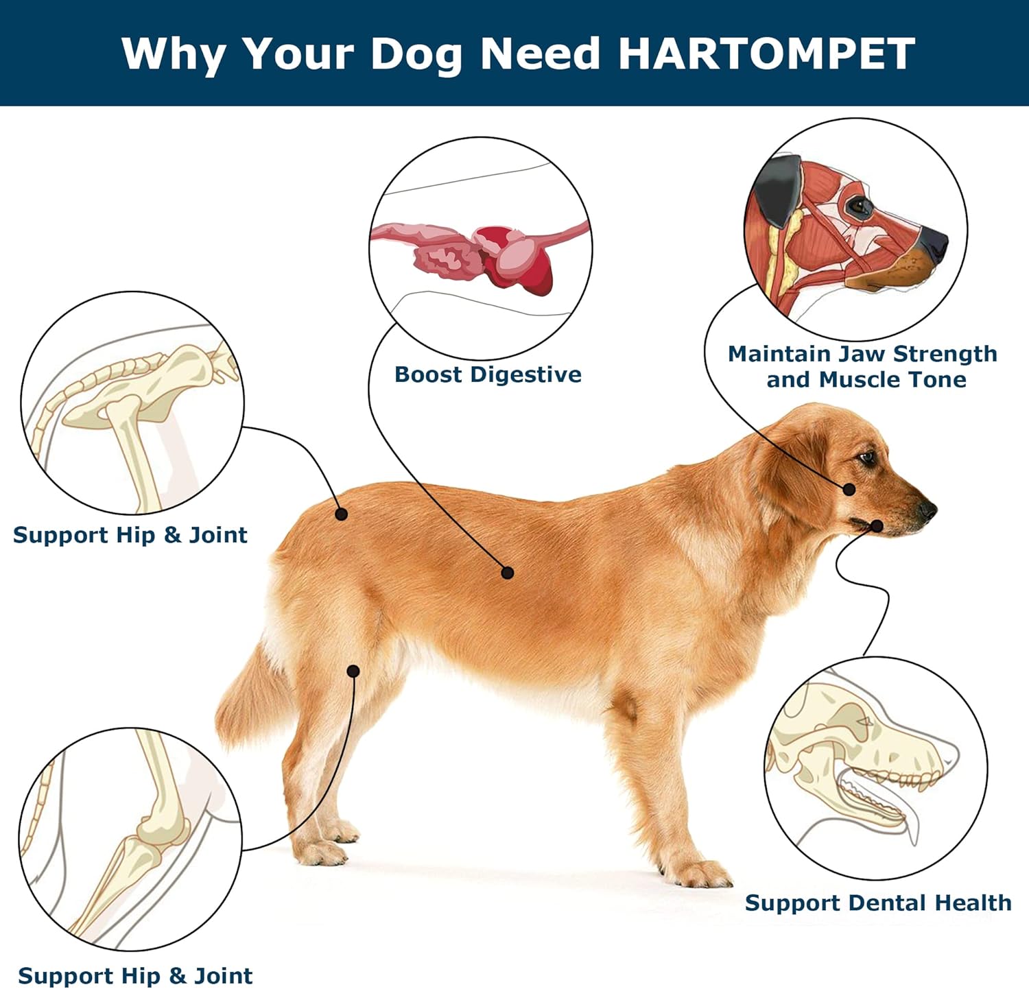 Golosinas de entrenamiento para perros sin cuero crudo, mantequilla de maní sin granos, nudos de 6.5 pulgadas para perros medianos y grandes, apoya
