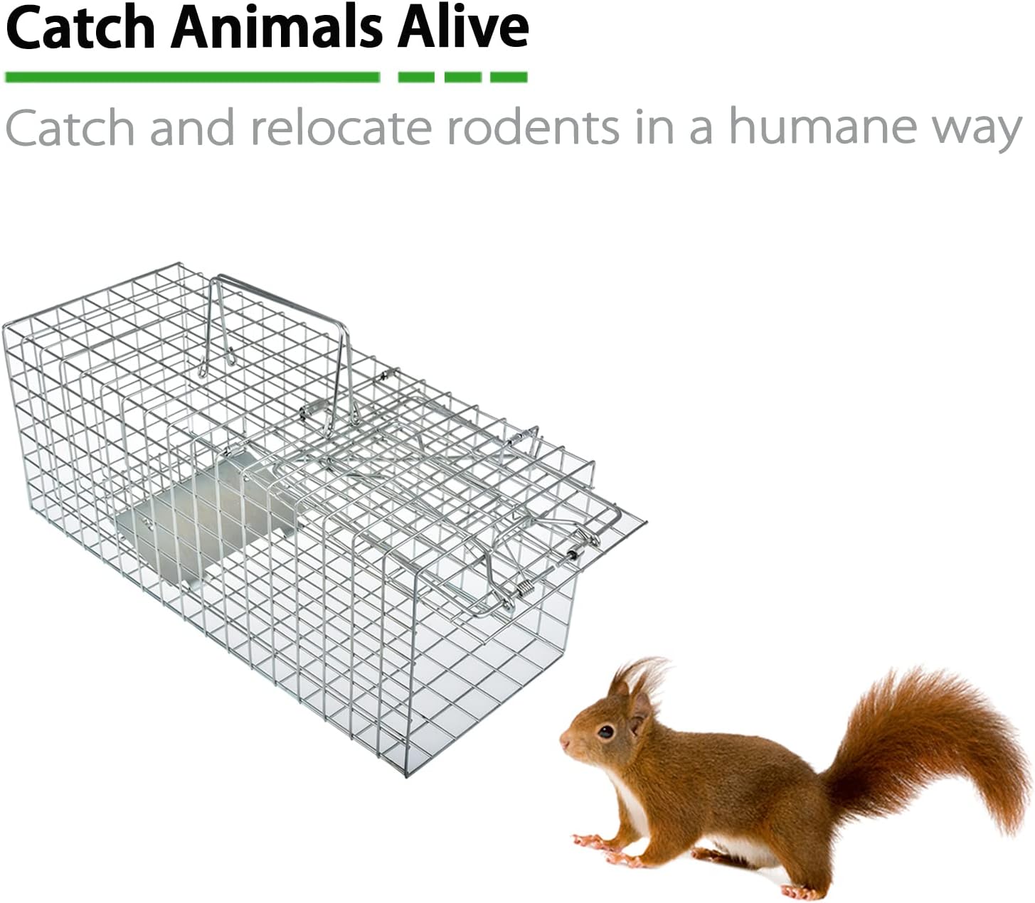 Trampa de jaula de animales vivos para ardillas, comadrejas y roedores de tamaño similar