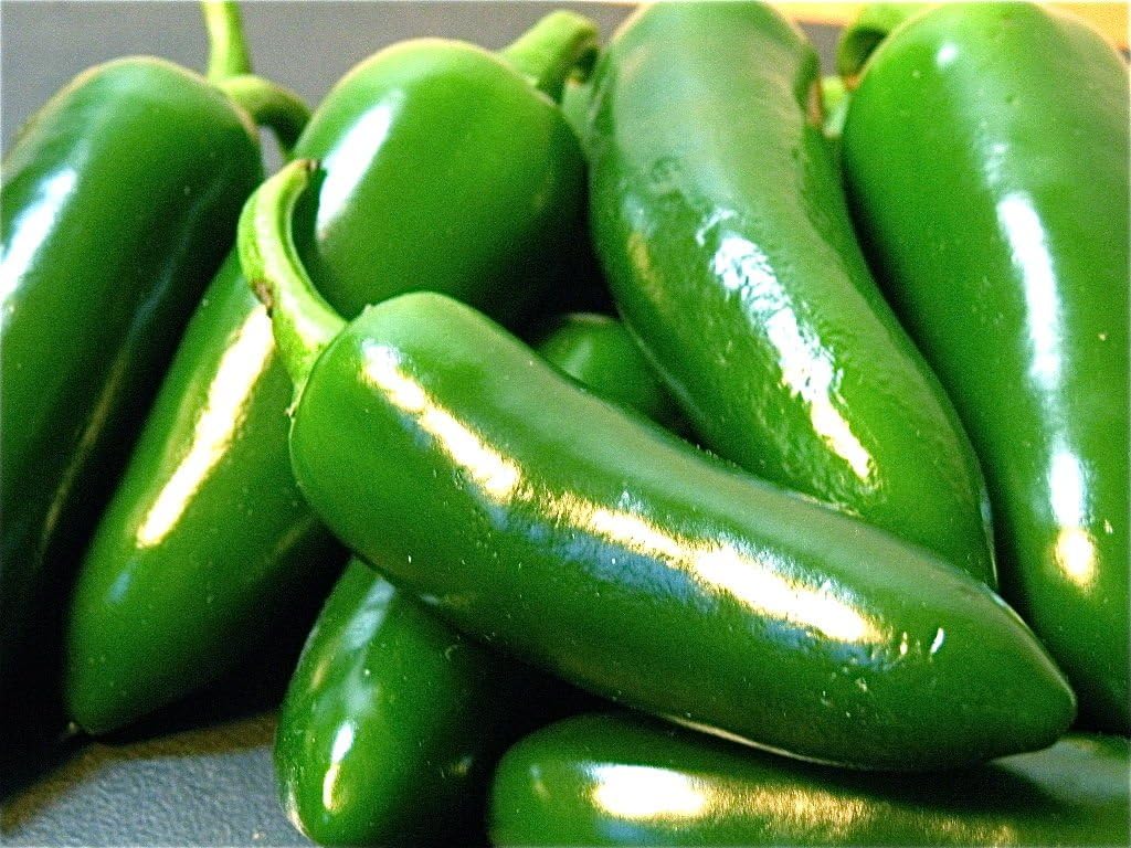 Semillas gigantes de pimienta jalapeño enormes PODS grandes rellenos MILD.(50 – Semillas)